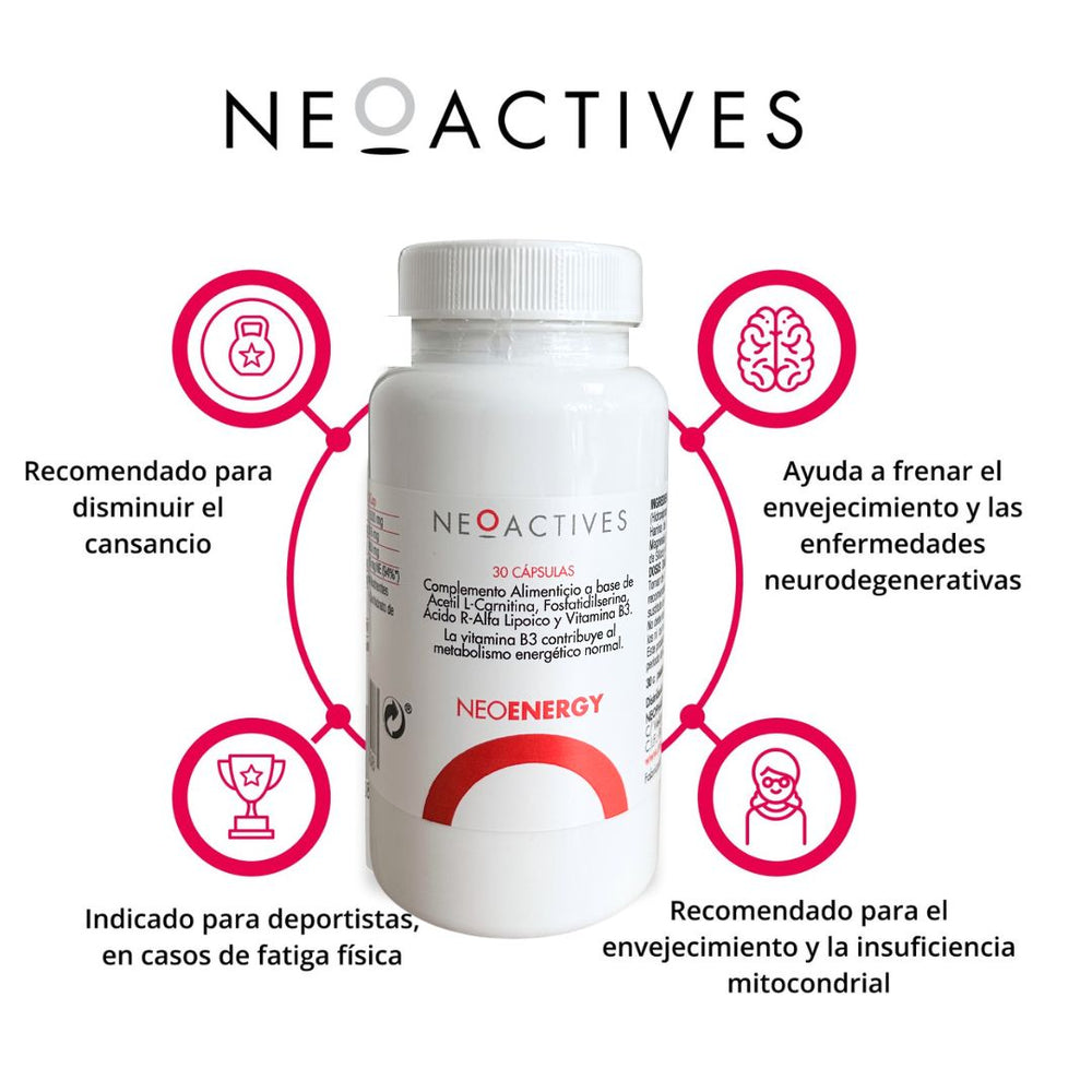 l carnitina y vitamina b3 para que sirve Nutravita L-Carnitina Capsulas Veganas - 150 Cpsulas de alta resistencia con riboflavina, biotina, cromo, D, B6 aadidos Vital Fuerte - FARMAMEDICA